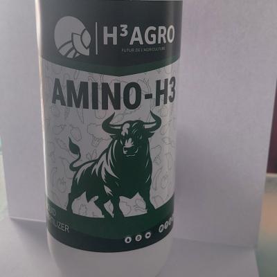 Amino H3 1L